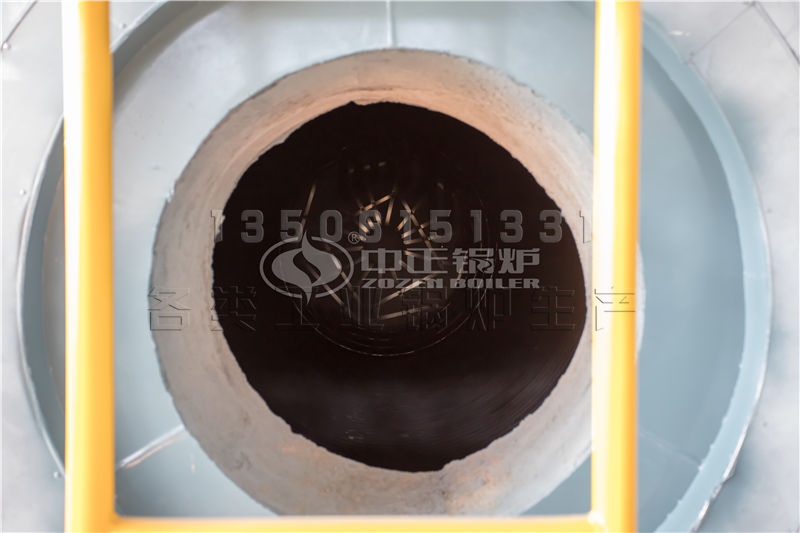 生物質(zhì)鍋爐廠家 排名